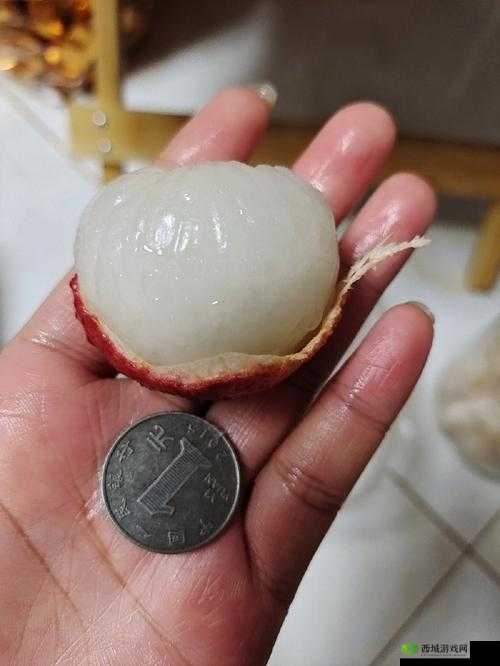 含糖 BY 荔枝 11H 带来的独特魅力与体验