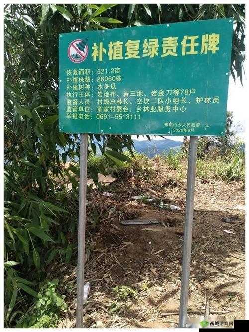 云南勐海严打种茶毁林，守护绿水青山