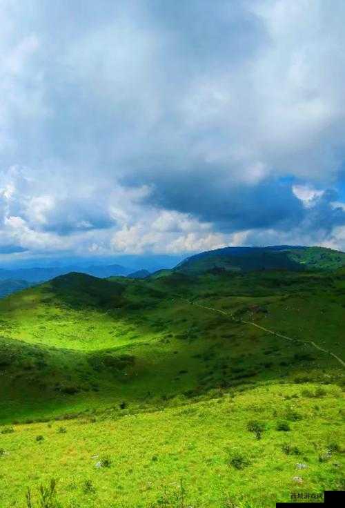 亚洲国自无红新 91 在线:独特视角下的神秘之旅