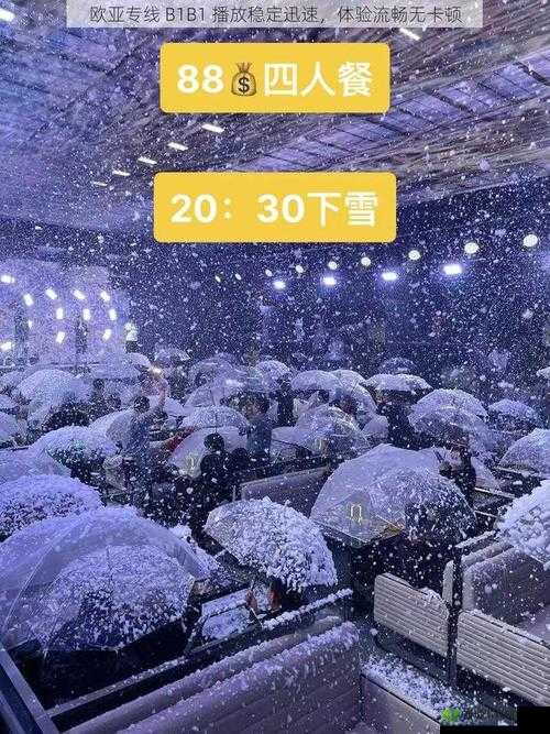 欧亚尺码专线欧洲 B1B1 播放：稳定迅速畅享优质体验