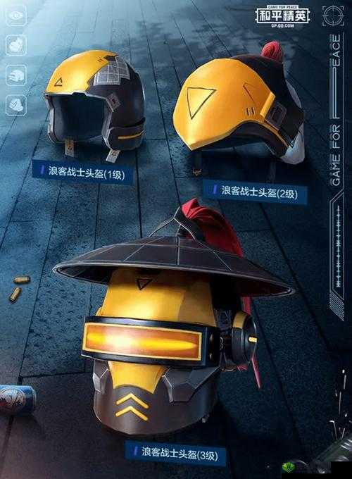 和平精英头盔新皮肤浪客战士介绍,资源管理、高效利用与价值最大化