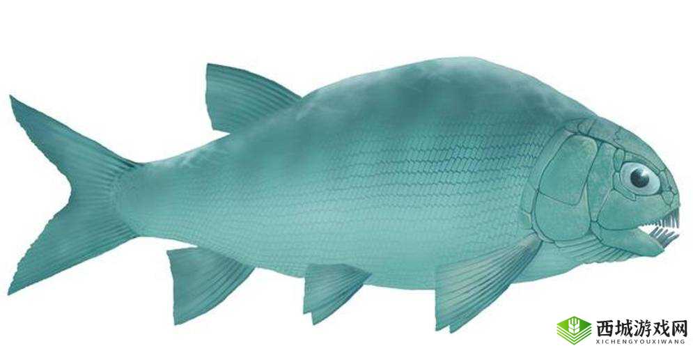 探索远古水域，揭秘2.44亿年前贵州的大型肉食鱼类