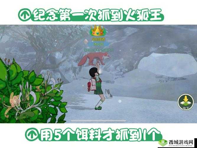 小森生活火狐王捕捉方法介绍
