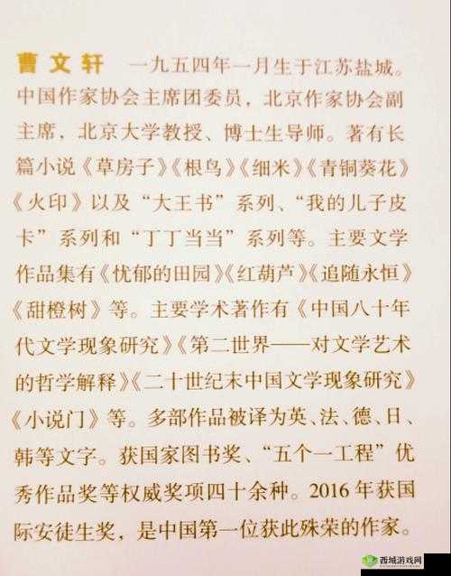 文学之旅,探索曹文轩笔下的情感世界与贼船的深层意蕴