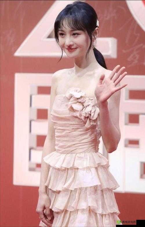 郑爽抚养权案风云再起,法庭内外焦点汇聚