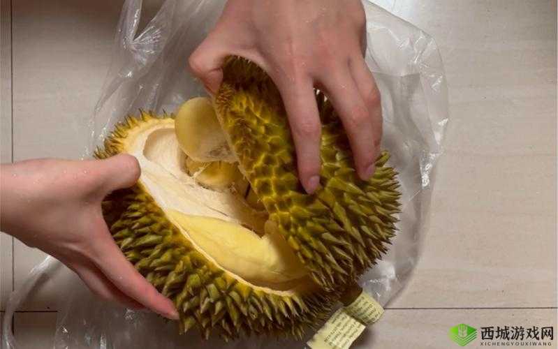 榴莲视频免费下载:带来精彩无限的视听盛宴