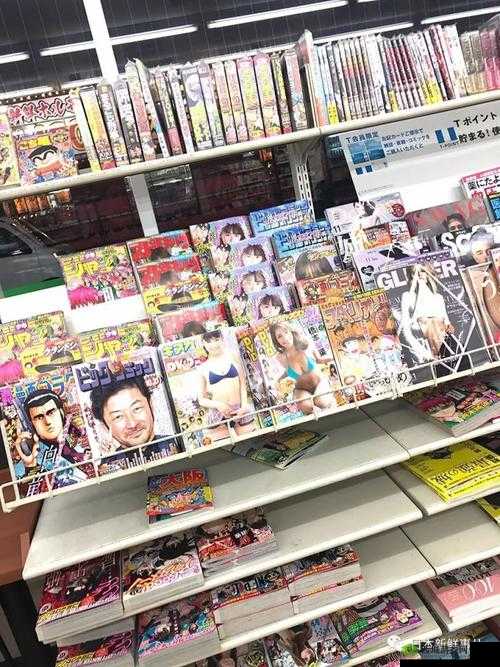 日本人的ⅤideoSⅩ：窥探日本成人文化的窗口