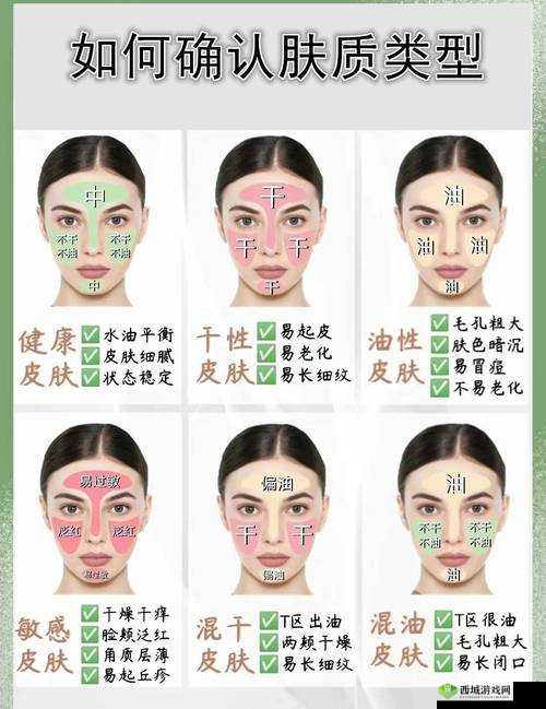 肌肌对肌肤应用大全：涵盖各类肌肤相关详细内容与具体案例