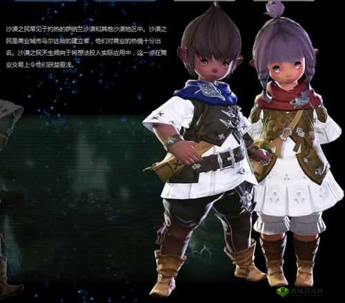 重生细胞沙漠之民装束，解锁神秘装扮的终极攻略