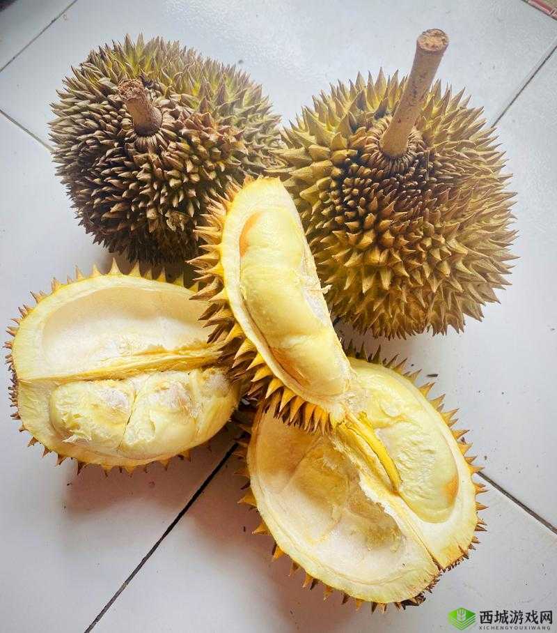 榴莲推广 APP 网站入口:畅享榴莲美味与便捷购物