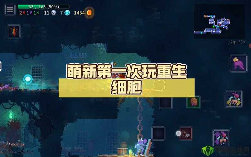 重生细胞声波弩,解锁隐藏武器的奇妙之旅