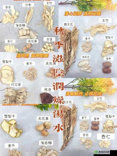 熟妇败火秘籍：滋阴润燥、清热降火的食疗方法