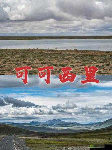 无人区编码 6229jm 背后的神秘故事