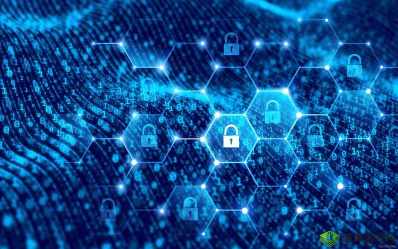 香肠视频加密通道：保障隐私安全的强大技术手段