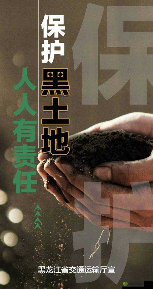 黑土地，生命之源与保护之责