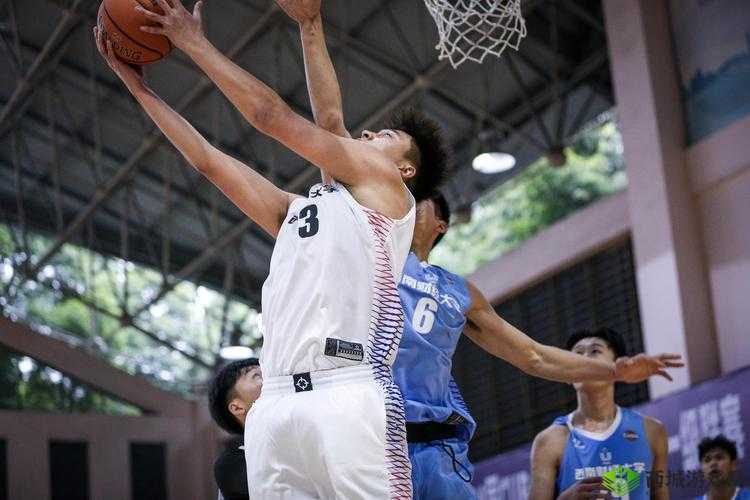 四川人姓交大比赛:谁将成为这场独特赛事的最终胜者