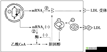 yw193跳转接口永不失联的来源:探究其背后的稳定机制