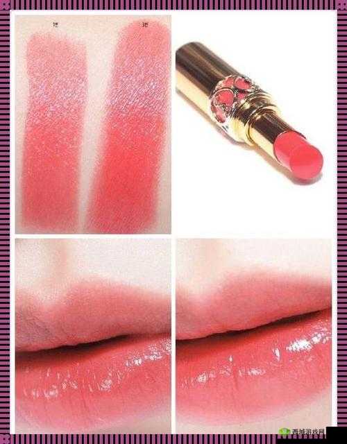 Ysl 蜜桃色黄 :尽显甜美魅力的时尚唇色之选