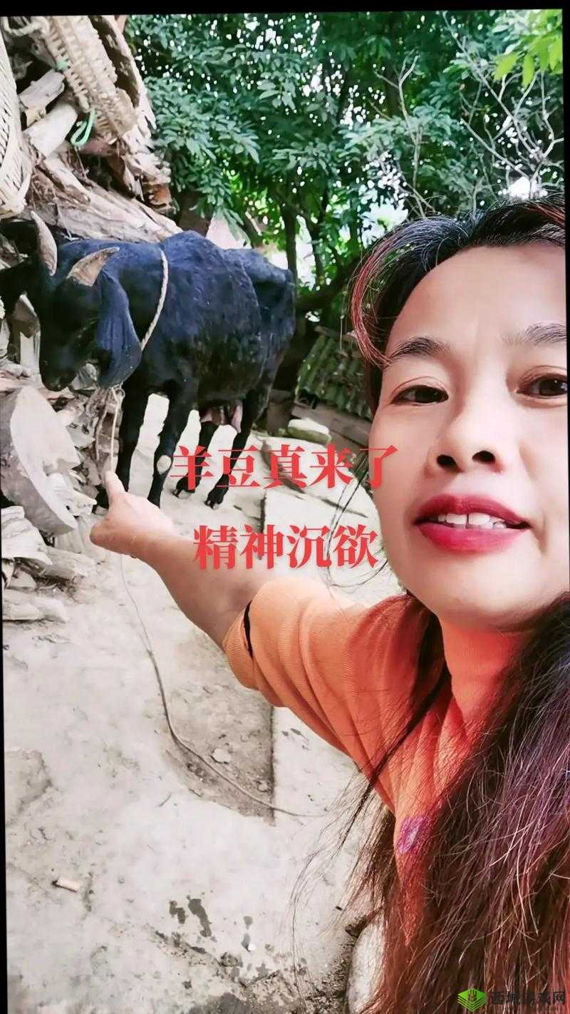 37 大但人文艺术 Yongyuxun 真人视频流出引发热议