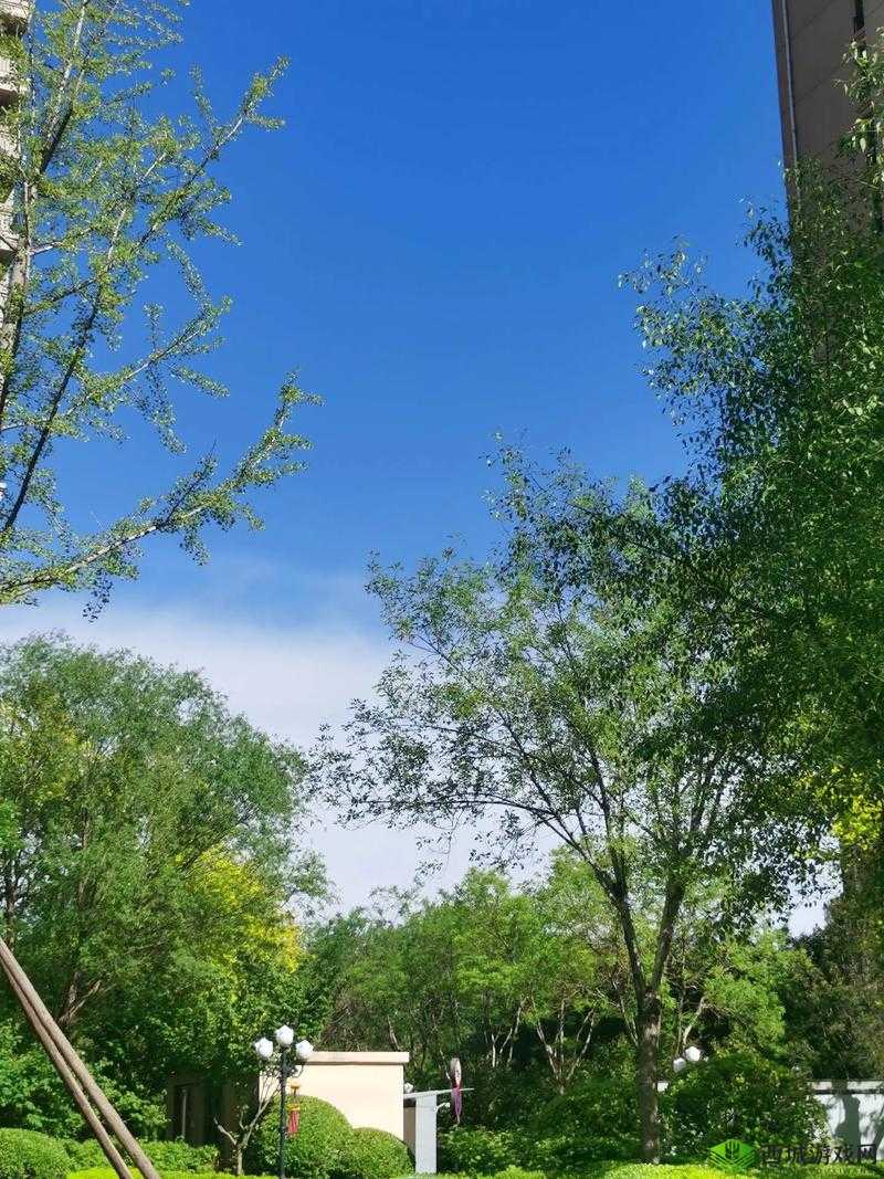 海角原创在哪里看?让我们一起探寻绿意盎然的世界