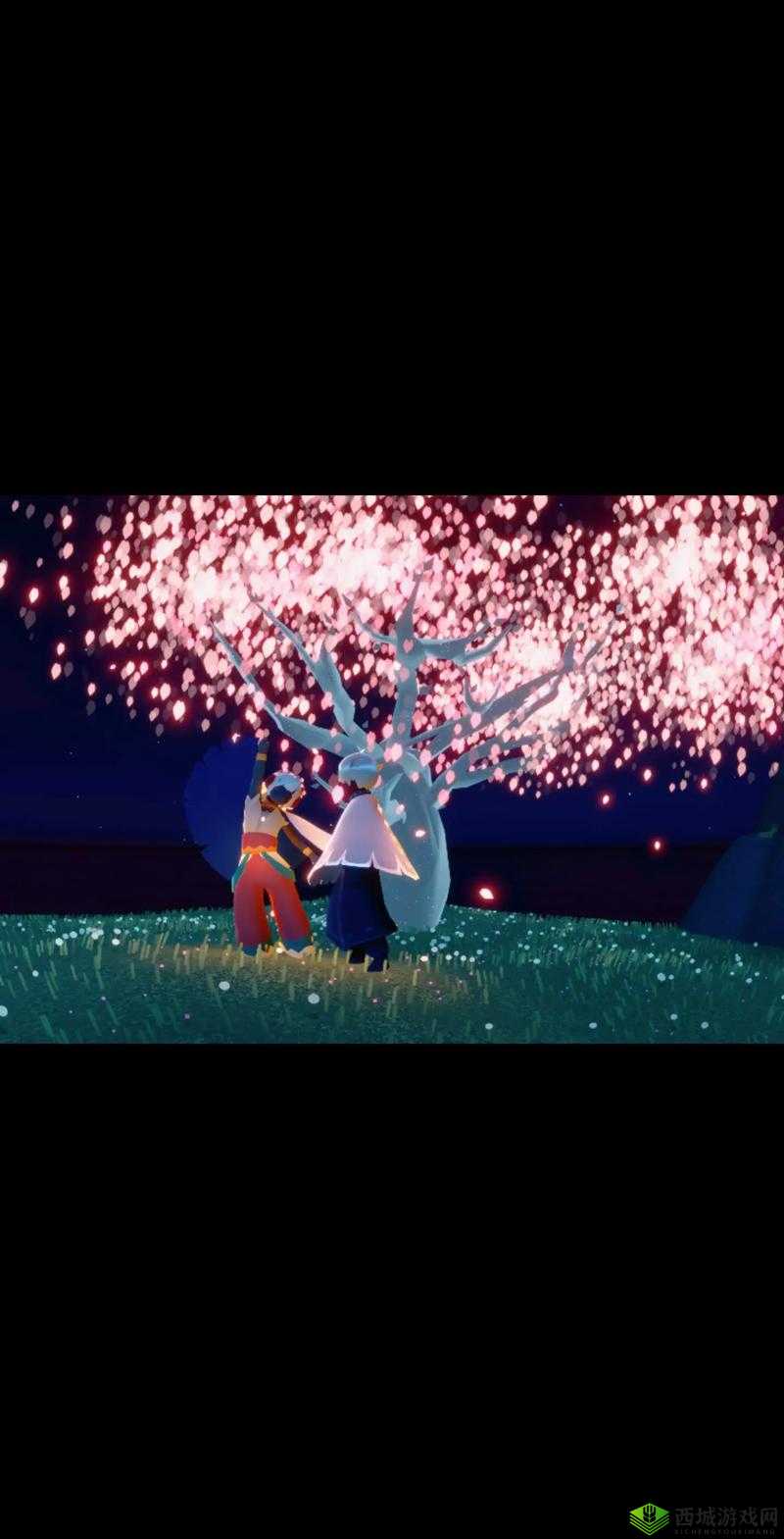 Sky光遇花憩节,探索与赏花的奇妙之旅