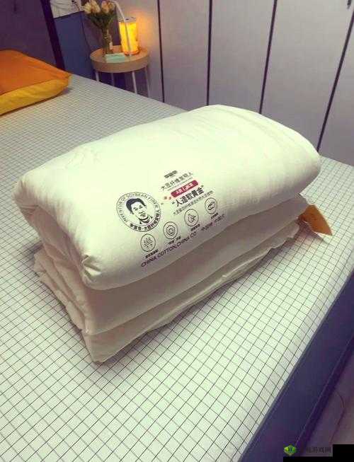 二合一子母被:四季皆宜的贴心睡眠伴侣