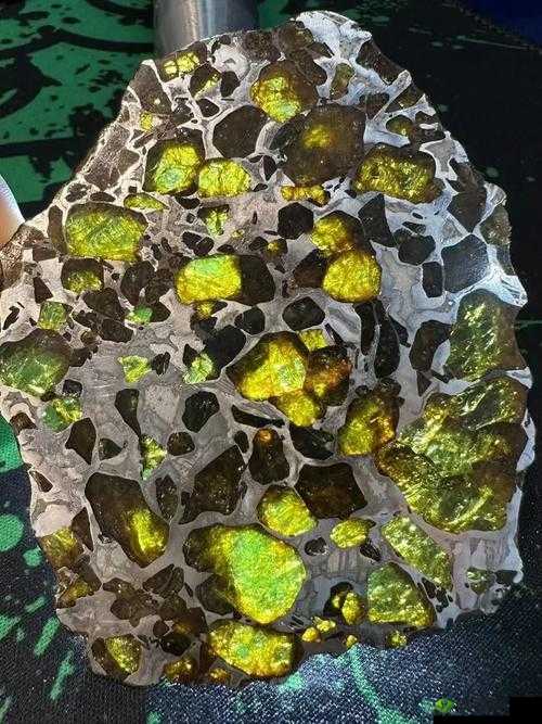 白砂树脂，稀有资源的获取与利用