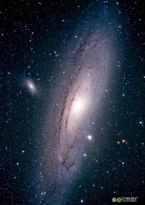 丰裕纵横场玉环 258:探索未知领域的璀璨明珠