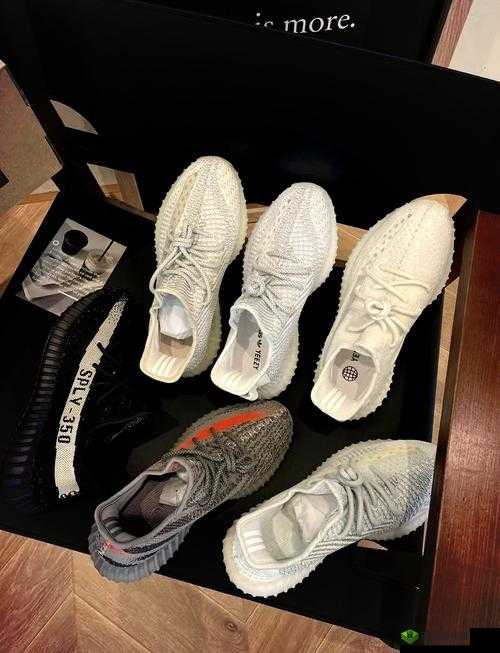 国产 Yeezy 451:引领潮流的独特鞋款