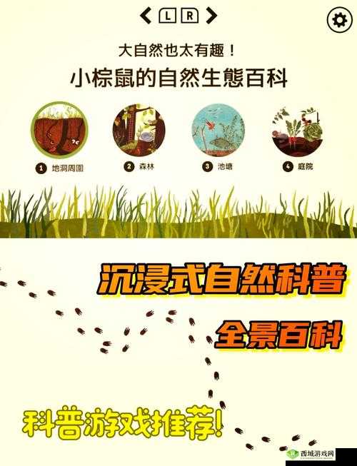 Zoom26 牧场 ：探索自然与生态的奇妙世界之旅