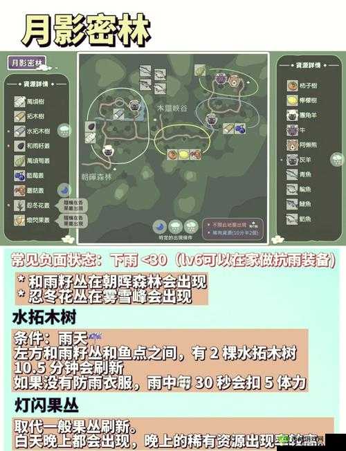 小森生活露桑松树位置介绍