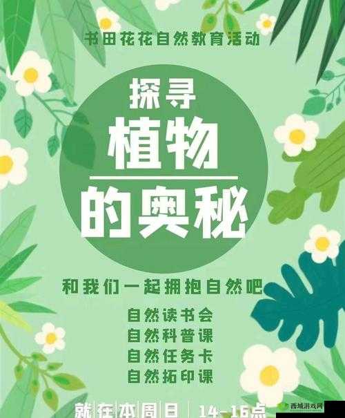 抬头看镜子里的接合处:探寻那隐藏的奥秘