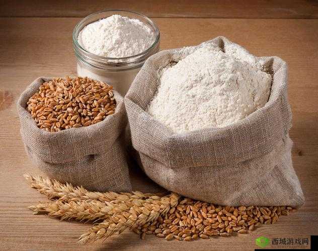 小麦粉的魅力与生活应用