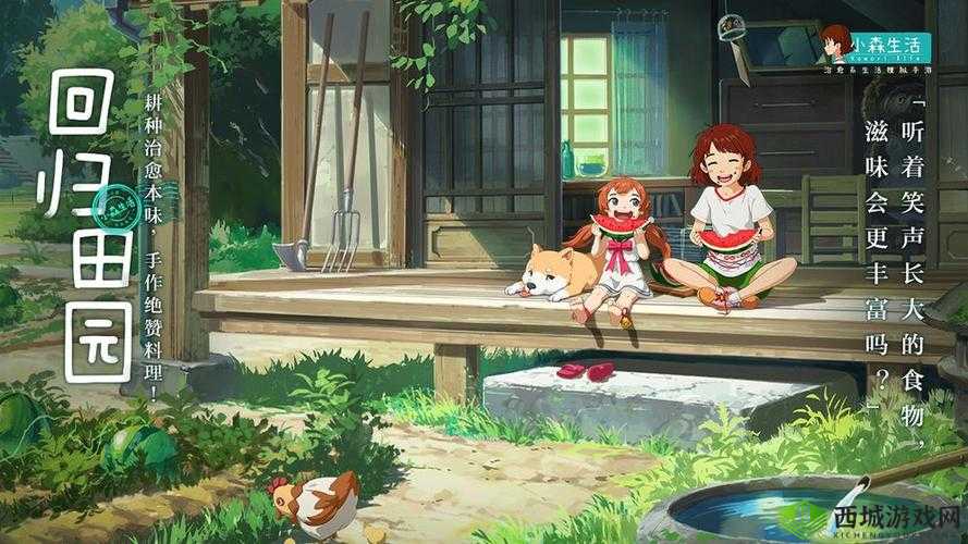 小森生活与雨籽丛,自然与生活的和谐共鸣