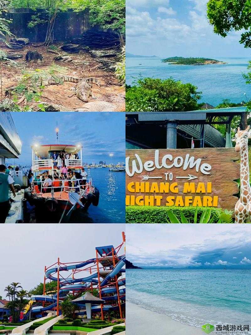 探索精彩世界:www.91cao.com 带你领略别样风情