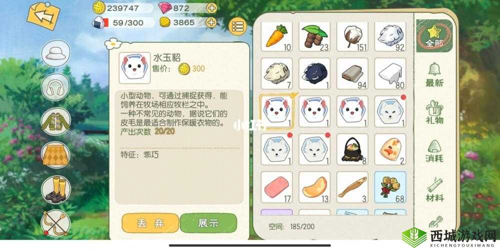 小森生活,揭秘水玉貂的神秘栖息地