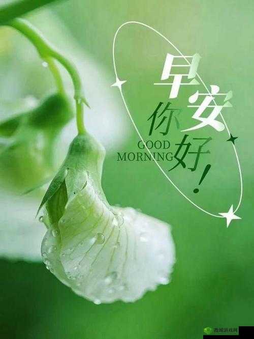 刚开始是拒绝的，后来太舒畅舒服了：从拒绝到享受的奇妙转变