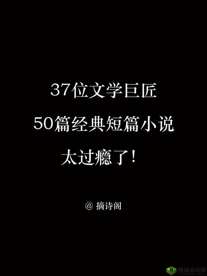 成品网站W灬源码1688小说：带你走进精彩文学世界