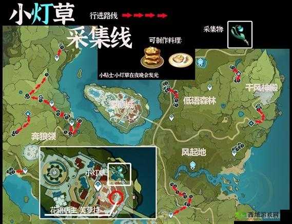原神采集小灯草最佳路线介绍
