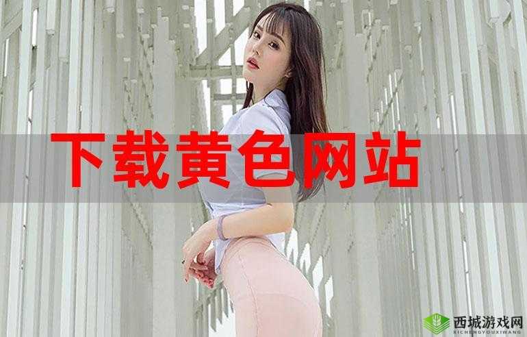 黄色视频网站在线：畅享不良内容的非法之地