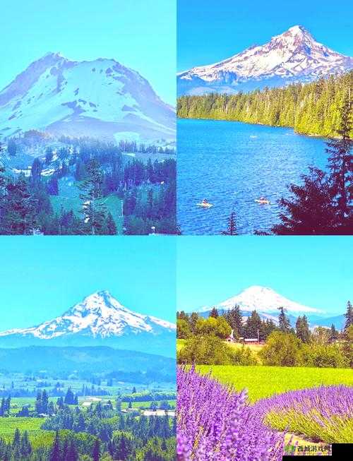 美国 XAXWASWASWAS：关于其的深入分析与探讨