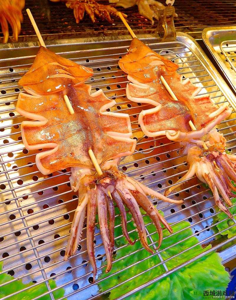 by3151 鱿鱼新官网换哪了:探寻其迁移背后的原因