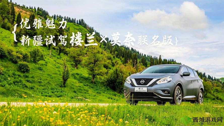 精美日产 MV：带你领略独特的视觉盛宴与艺术魅力