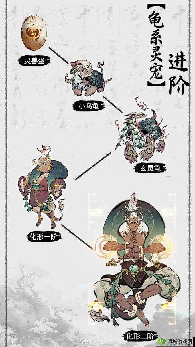 一念逍遥玄灵龟介绍，资源管理的智慧与策略