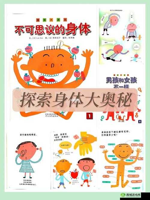 老妇女的大 BwBwBwB:探索身体奥秘的旅程