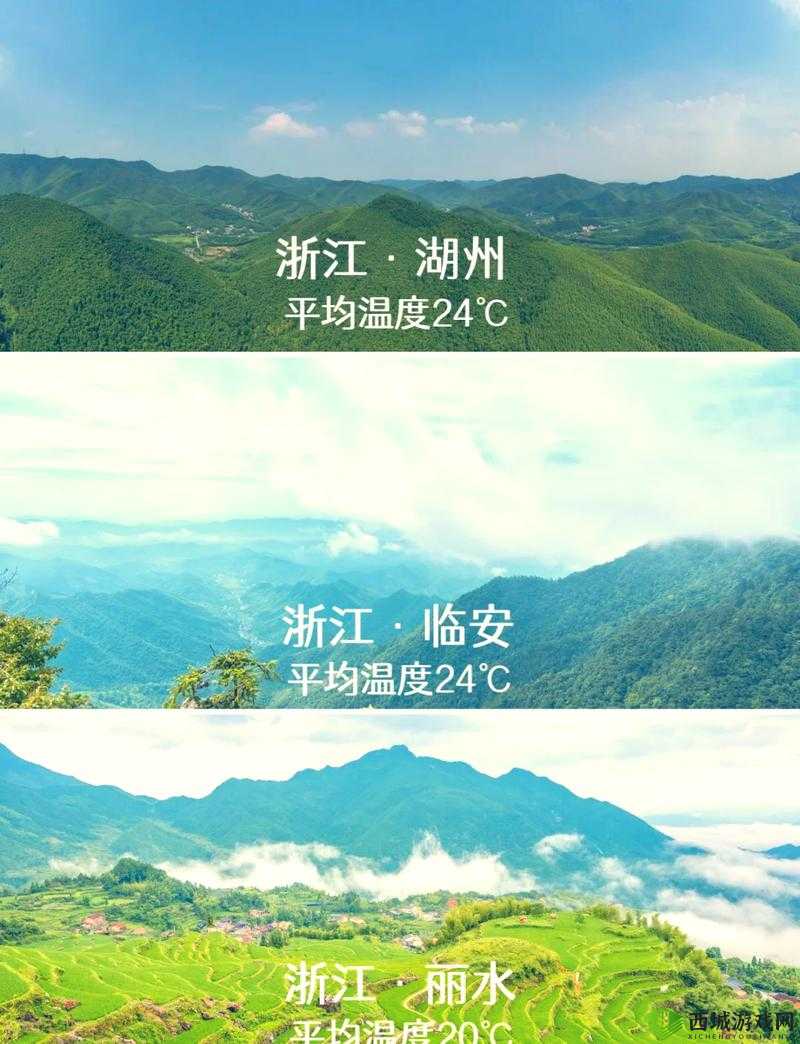 伊春园 2024 入口直达:畅享无尽精彩