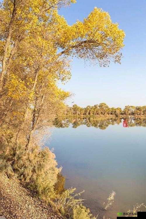 怡红院导航：带你领略不一样的世界风情