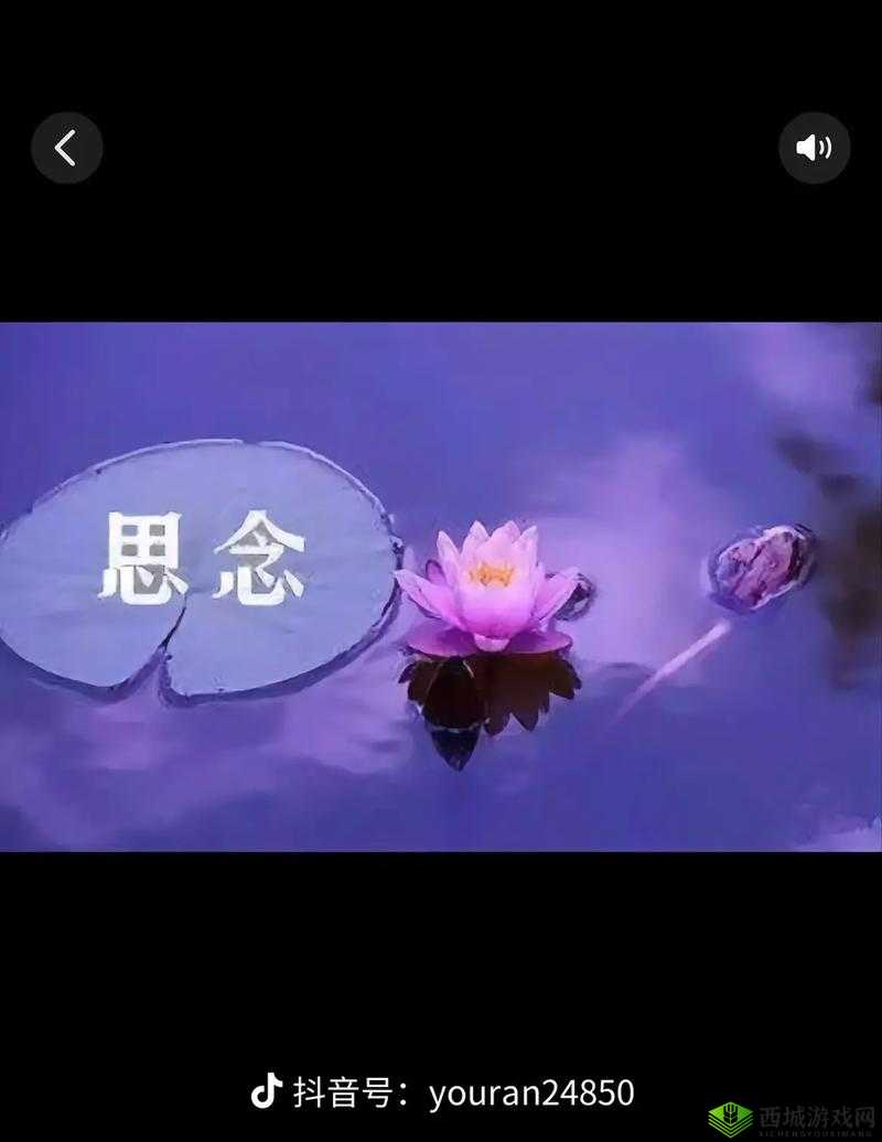 亲爱的母亲大人一直都在我们身边陪伴着我们