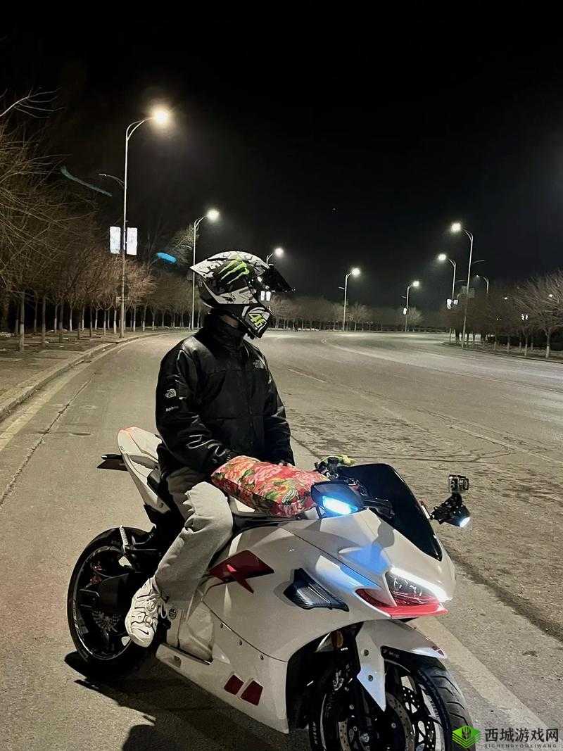 电摩车女 1-2-3-4：风驰电掣的街头追梦之旅