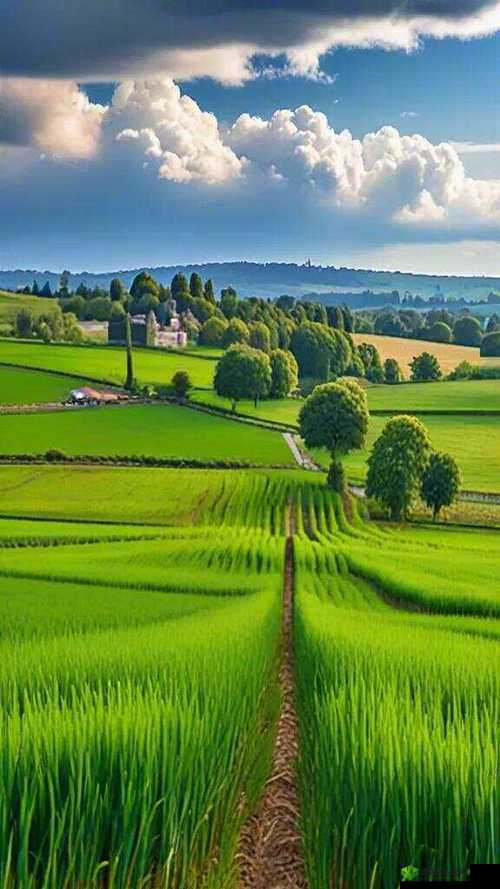 乡村:一个充满诱惑与混乱的地方